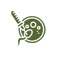 Evidence Based IVF Service Clinic
